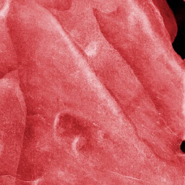 Beyaz kağıt arka planda renkli mürekkep ve suluboya doku. Gradyan boya darbeleri ve kalsiyum kaybı etkisi. El boyaması gouache soyut görüntü. Tuvali dağıt..