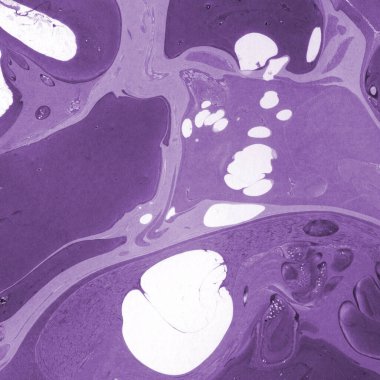 boya desenli mor mermer arkaplan