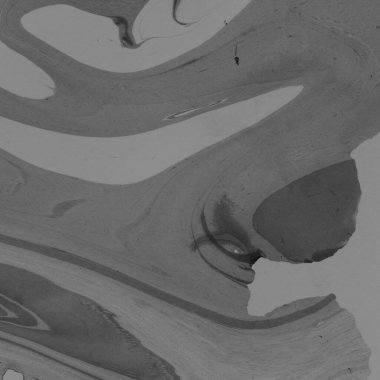 Mermer arkaplan boya sıçraması, doku