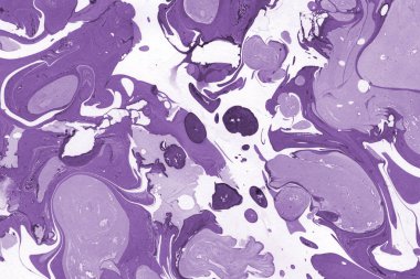 boya desenli mor mermer arkaplan