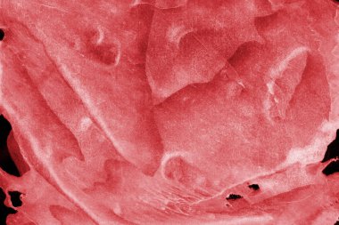 Beyaz kağıt arka planda renkli mürekkep ve suluboya doku. Gradyan boya darbeleri ve kalsiyum kaybı etkisi. El boyaması gouache soyut görüntü. Tuvali dağıt..