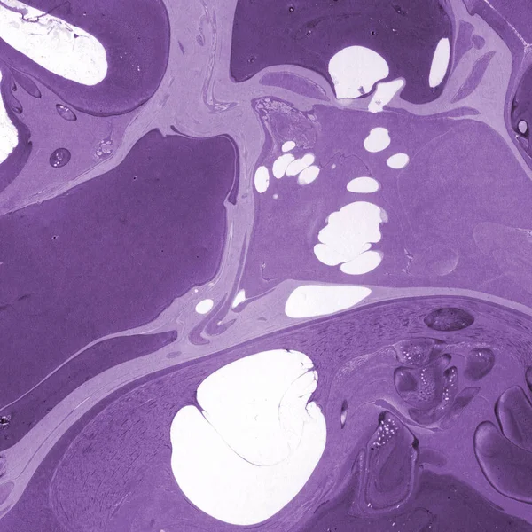 boya desenli mor mermer arkaplan