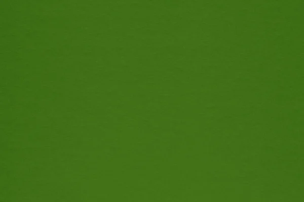녹색의 — 스톡 사진