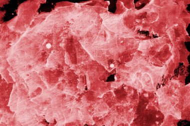 Beyaz kağıt arka planda renkli mürekkep ve suluboya doku. Gradyan boya darbeleri ve kalsiyum kaybı etkisi. El boyaması gouache soyut görüntü. Tuvali dağıt..