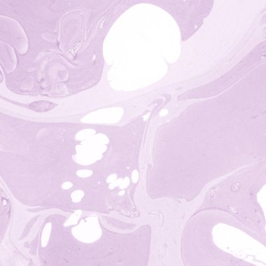 boya desenli mor mermer arkaplan