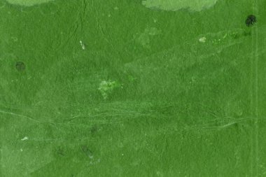 soyut yeşil eski kağıt doku arkaplanı