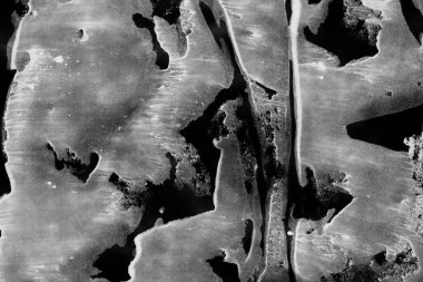 Gri lekeler doku, soyut arkaplan