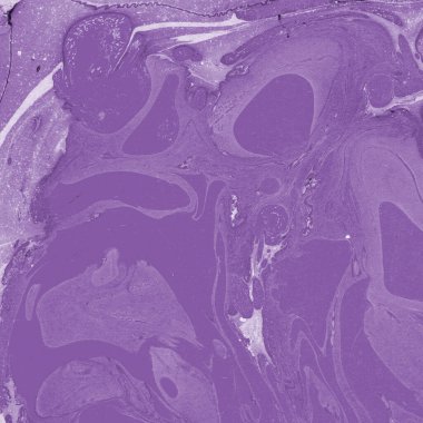 boya desenli mor mermer arkaplan