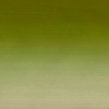 gerçekçi kağıt dokusuna sahip yeşil suluboya arkaplan