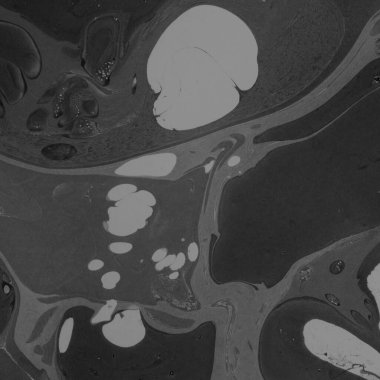 Siyah mermer dokular, soyut boya duvar kağıdı.