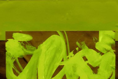 Renkli kağıt soyut doku arkaplanı