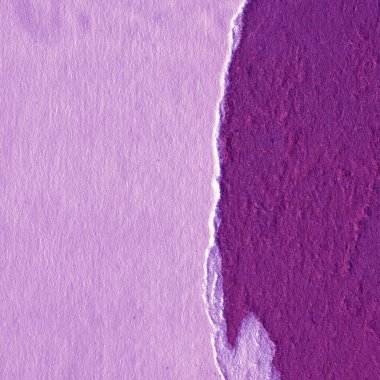 eski mor kağıt doku arkaplanı