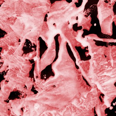 Soyut Sanat Arkaplanı. El boyası doku. 