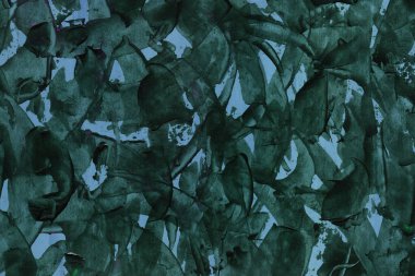 renkli akrilik soyut desen, arkaplan  