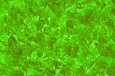 renkli akrilik soyut desen, arkaplan  