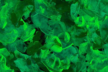 soyut akrilik doku, tam çerçeve arkaplan