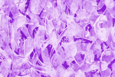 mor akrilik soyut model arkaplanı 