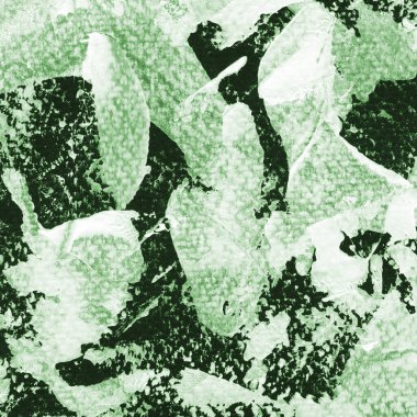 yeşil akrilik soyut model arkaplanı 