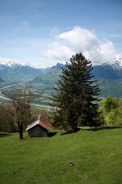 Alpy a řeky Rýn v Lichtenštejnsku — Stock fotografie