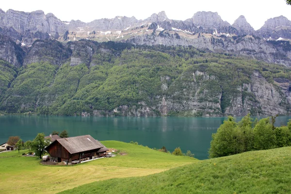 Cascada en Suiza —  Fotos de Stock