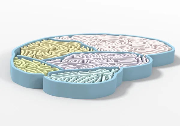 Laberinto cerebral 3D Render —  Fotos de Stock
