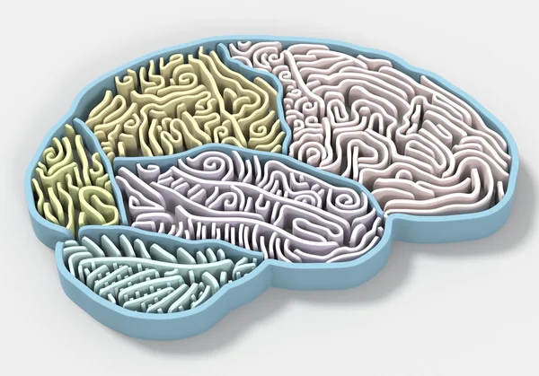 Labirinto cerebrale Render 3D — Foto Stock