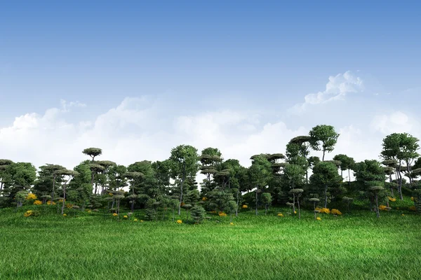 Grünes Gras mit Bäumen, Berg und blauem Himmel — Stockfoto