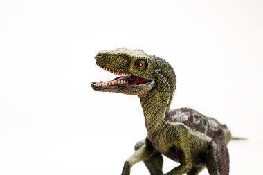 Beyaz arka planda izole edilmiş dinozor