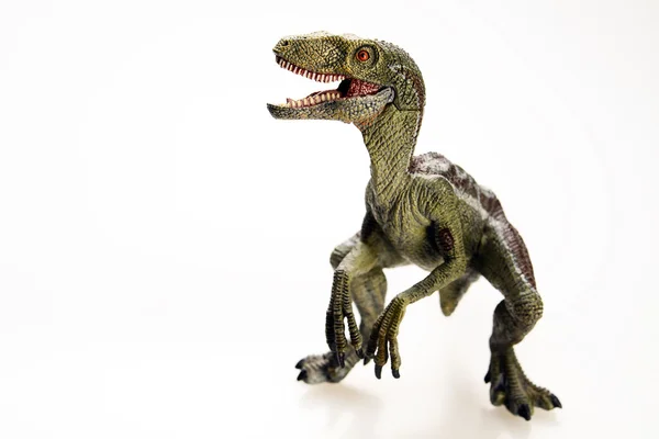 Beyaz arka planda izole edilmiş dinozor