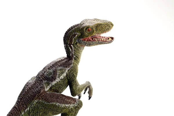Ізольований динозавр на білому тлі — стокове фото