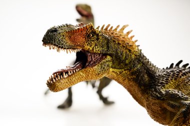 Beyaz arka planda izole edilmiş dinozor