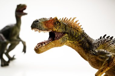 Beyaz arka planda izole edilmiş dinozor