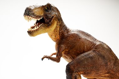 Beyaz arka planda izole edilmiş dinozor