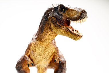 Beyaz arka planda izole edilmiş dinozor