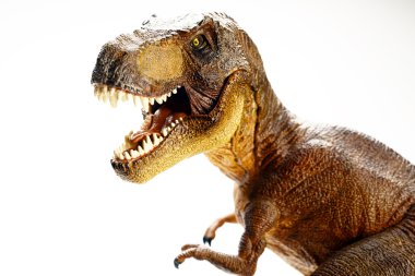 Beyaz arka planda izole edilmiş dinozor