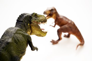 Beyaz arka planda izole edilmiş dinozor