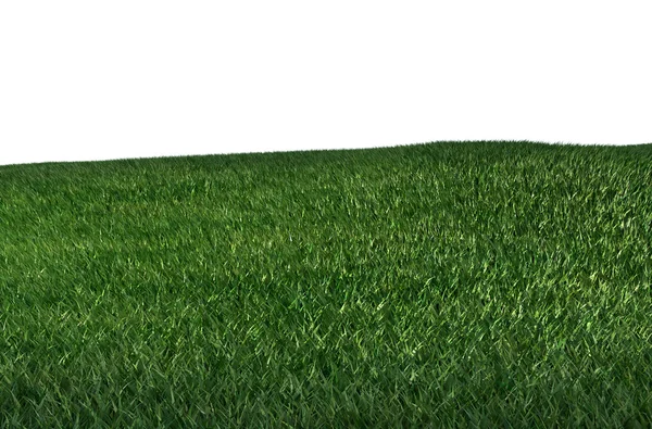 Grass field with blue sky and mountain — Stock Photo, Image