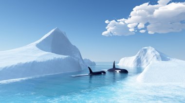 Whales swim in the ocean and iceberg clipart