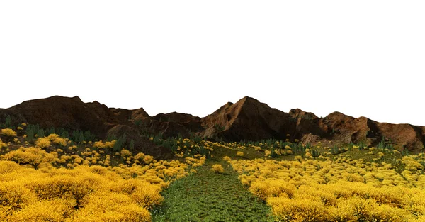 Spartium junceum Espanhol Vassoura no jardim com céu azul e montanha — Fotografia de Stock