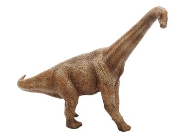 Beyaz arka planda izole dinozor