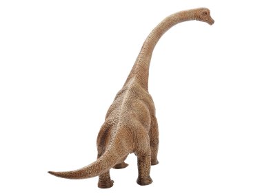 Beyaz arka planda izole dinozor