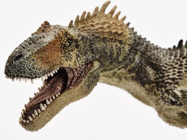 Beyaz arka planda izole dinozor