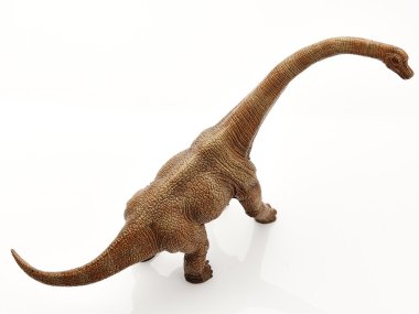 Beyaz arka planda izole dinozor