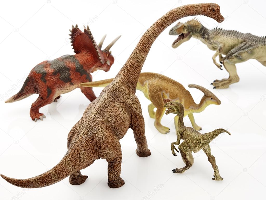 Isolated dinosaur in white background