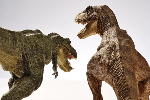 dinozor