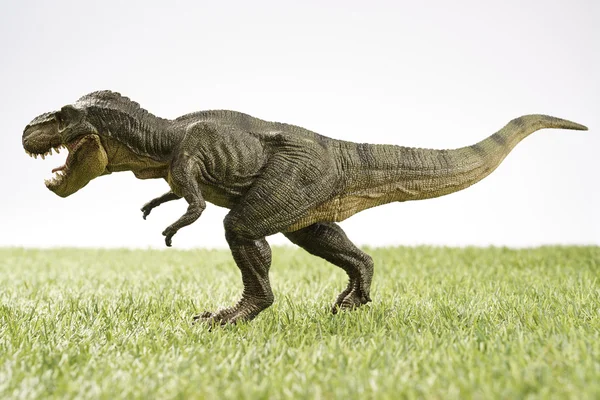 Dinosaur — Stock Photo, Image