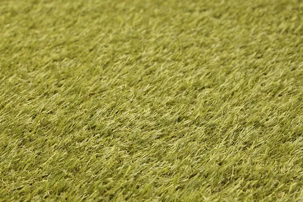 Grass — Stock Photo, Image