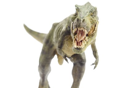 dinozor