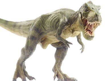dinozor