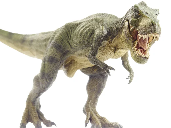 dinozor